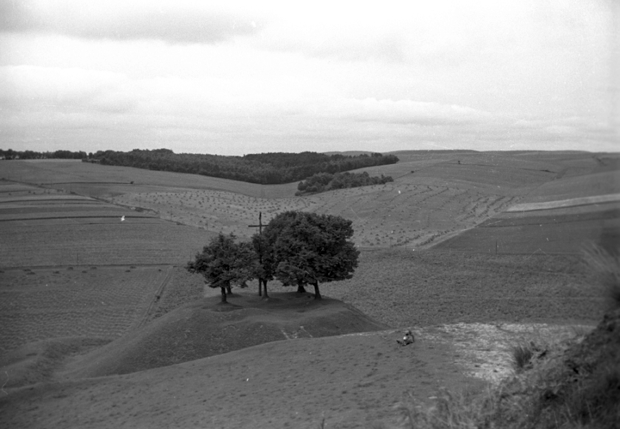 Widok z kopca Kościuszki - (fot. Henryk Poddębski, 1936 r.)